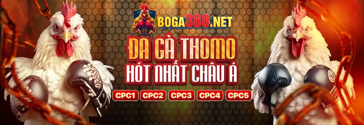Giao diện cá cược đá gà vn kubet